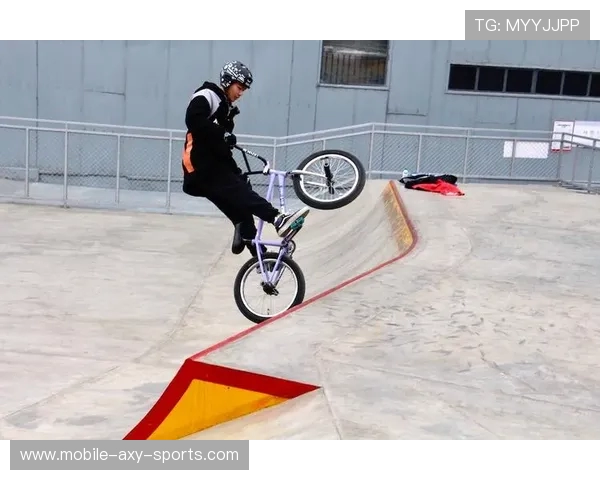 上海滑板队近期状态分析与表现评估探讨