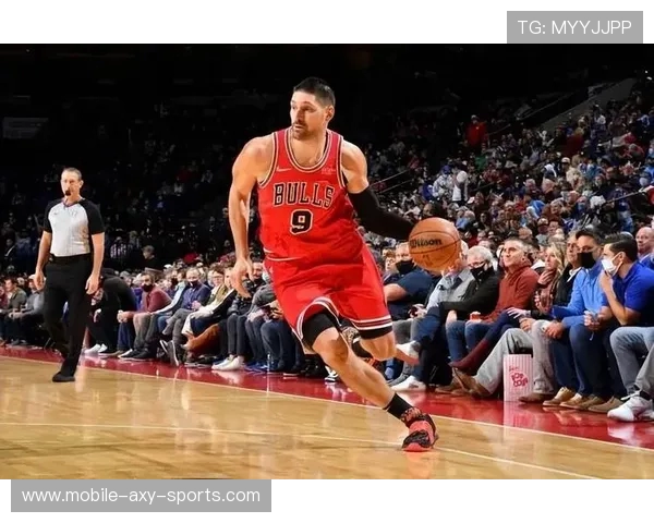 尼古拉武切维奇的艺术之旅与创作灵感探讨